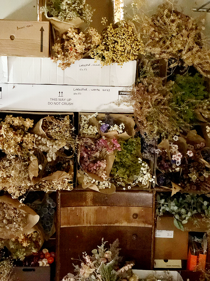 Flower boxes are recycled to store dried flowers and can be seen stacked and labelled next to carboard pigeon holes used to display a selection of dried ingredients.