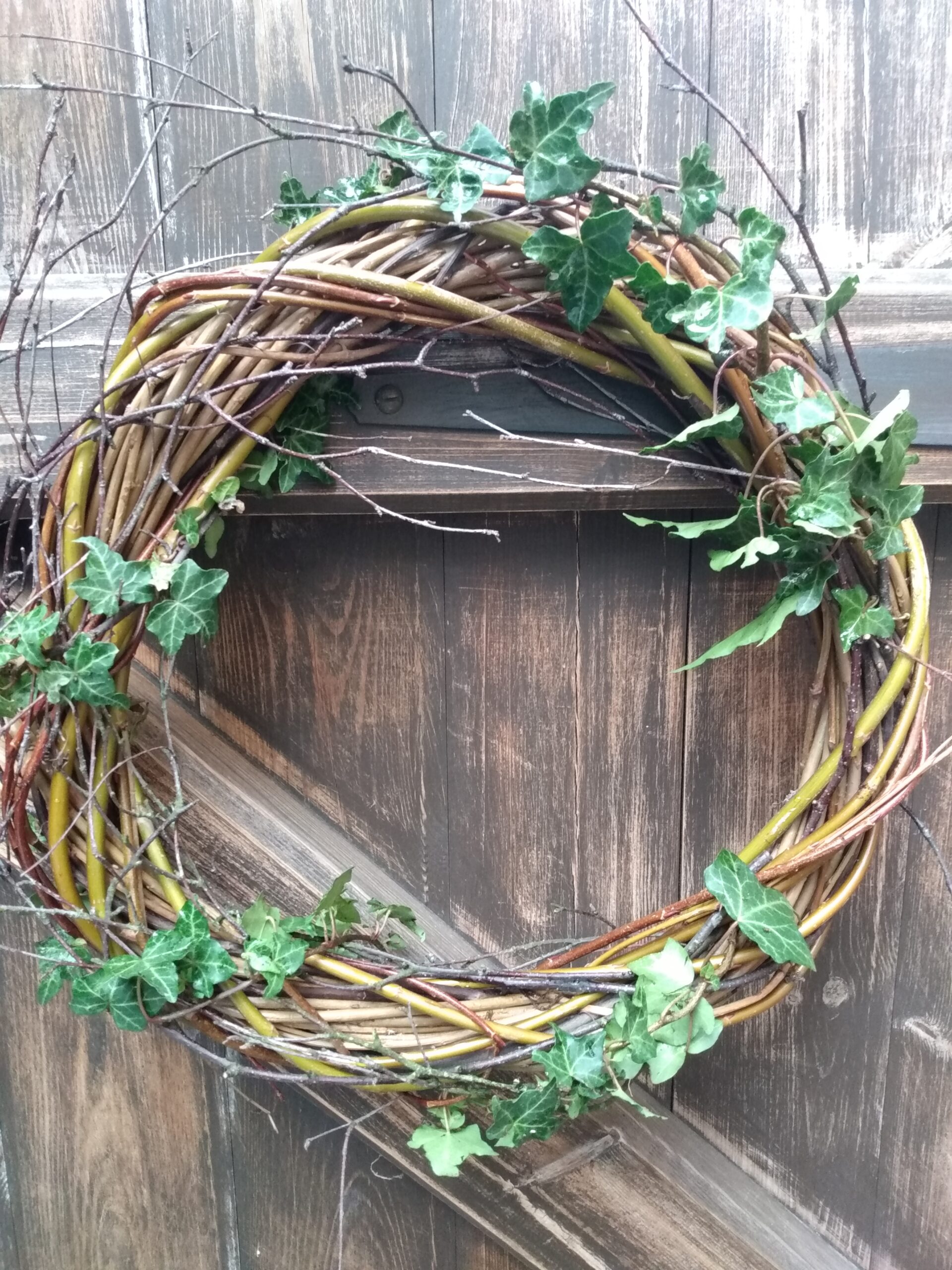 Wild Willow and Bloom