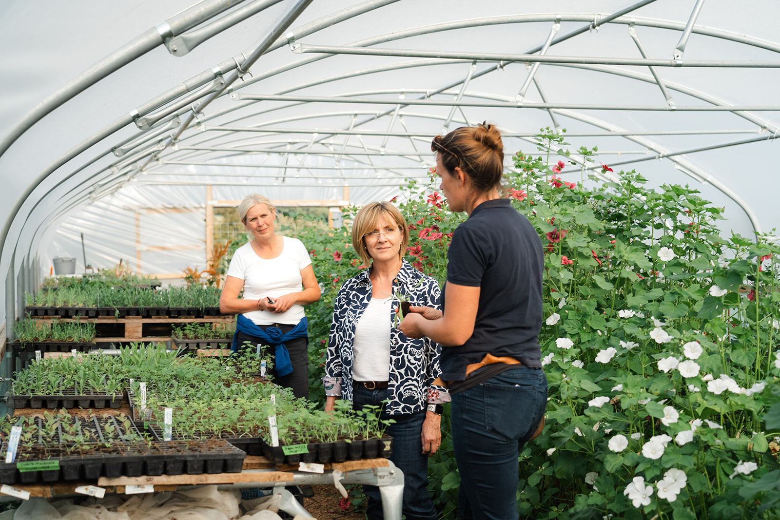 Grow-your-own-cut-flowers-at-Featherstone-Flower-Co