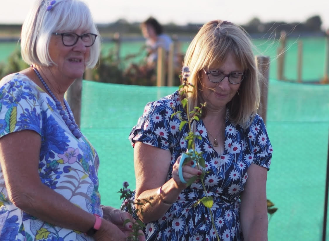 Pick Your Own Flowers with Amy Corney at Acorn Flower Farm