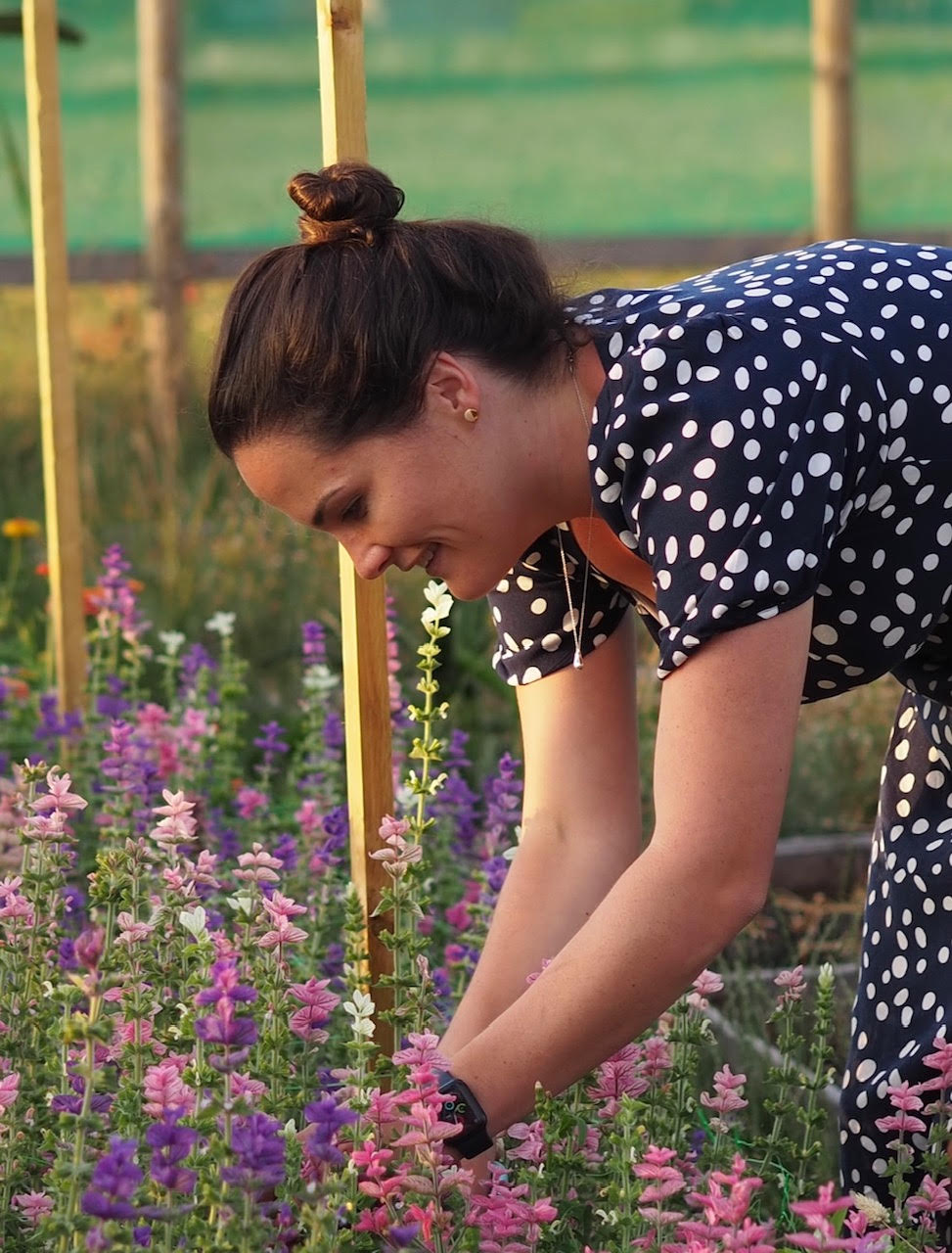 Pick Your Own Flowers with Amy Corney at Acorn Flower Farm