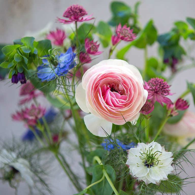 Chiltern Sky Flower, hand tied bouquet