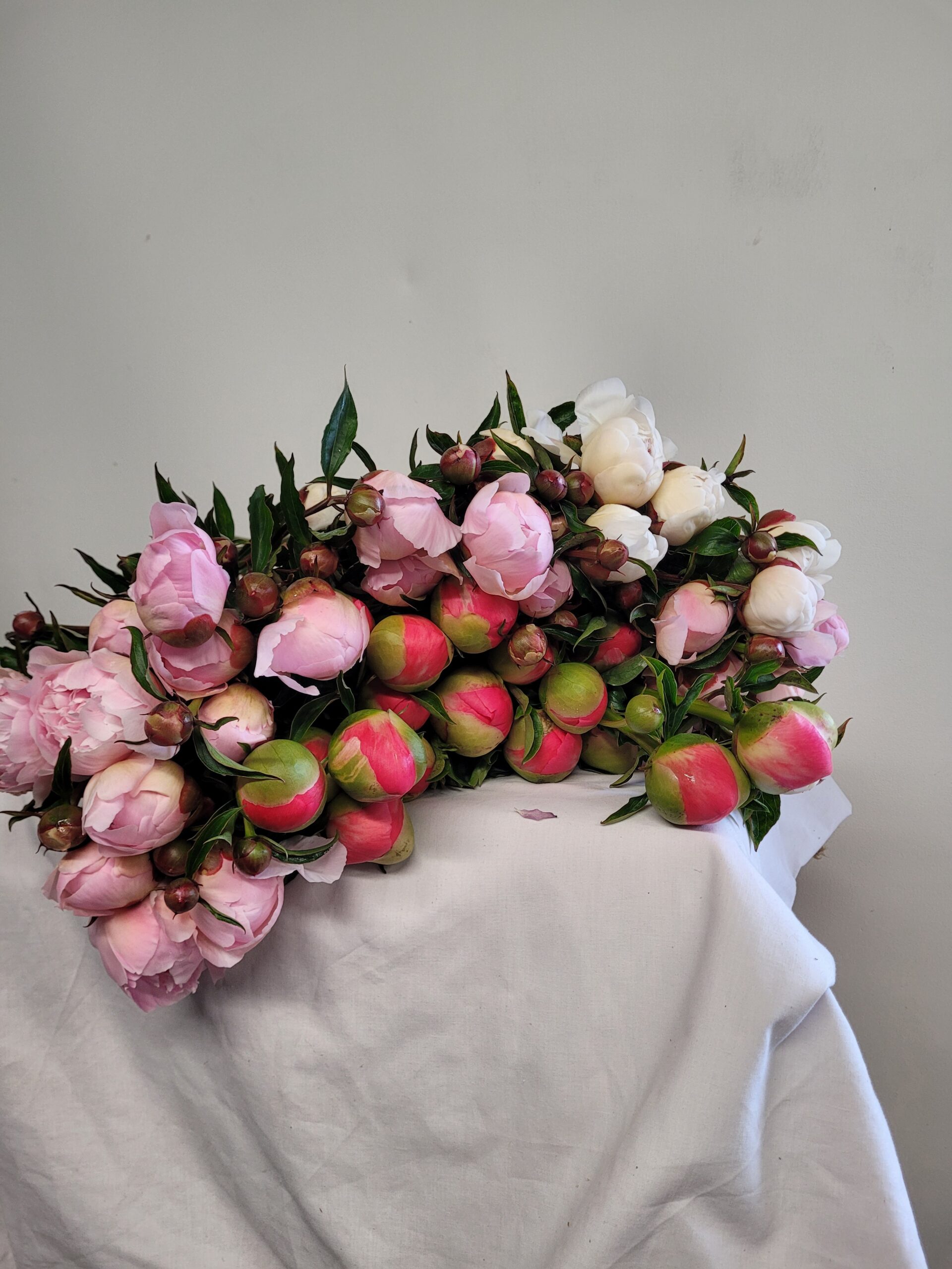 Peonies by Anna's Country Flowers