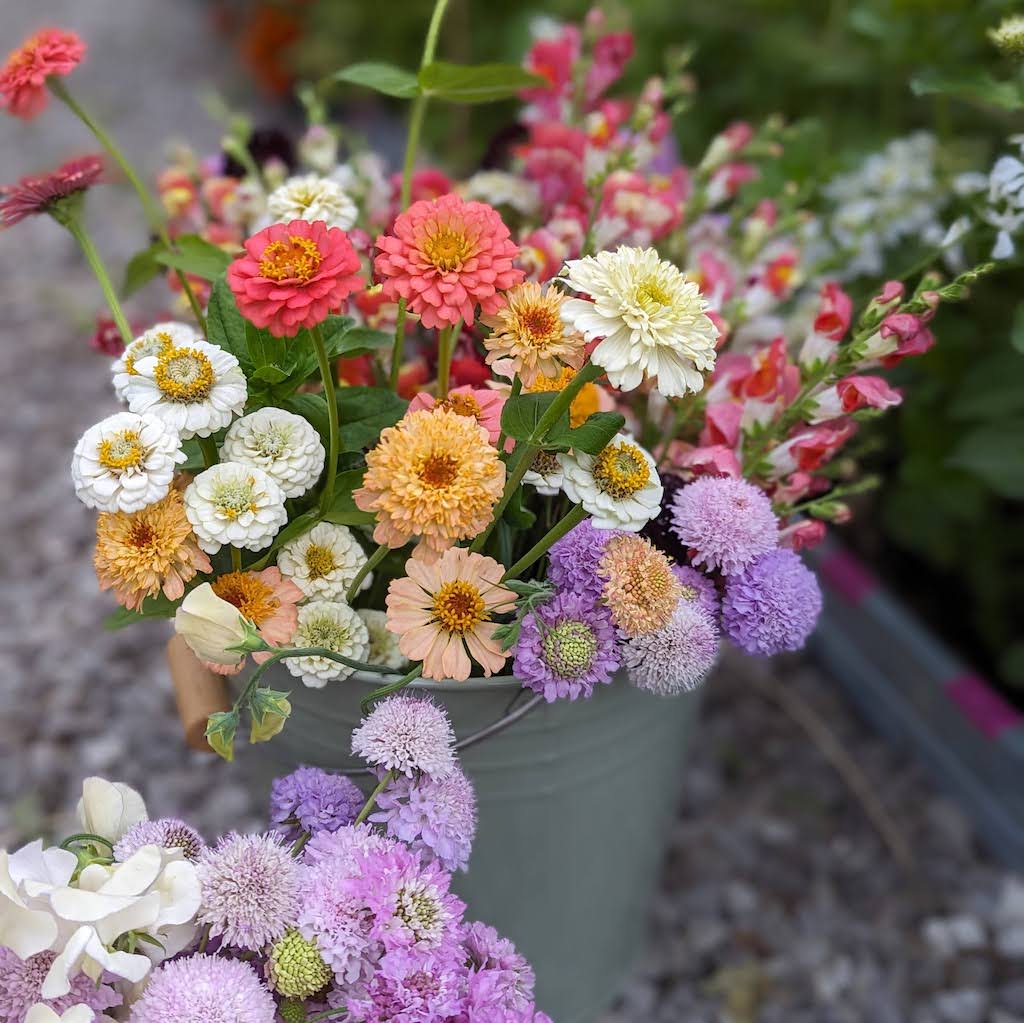 Summer Floral Arrangement by North Flower