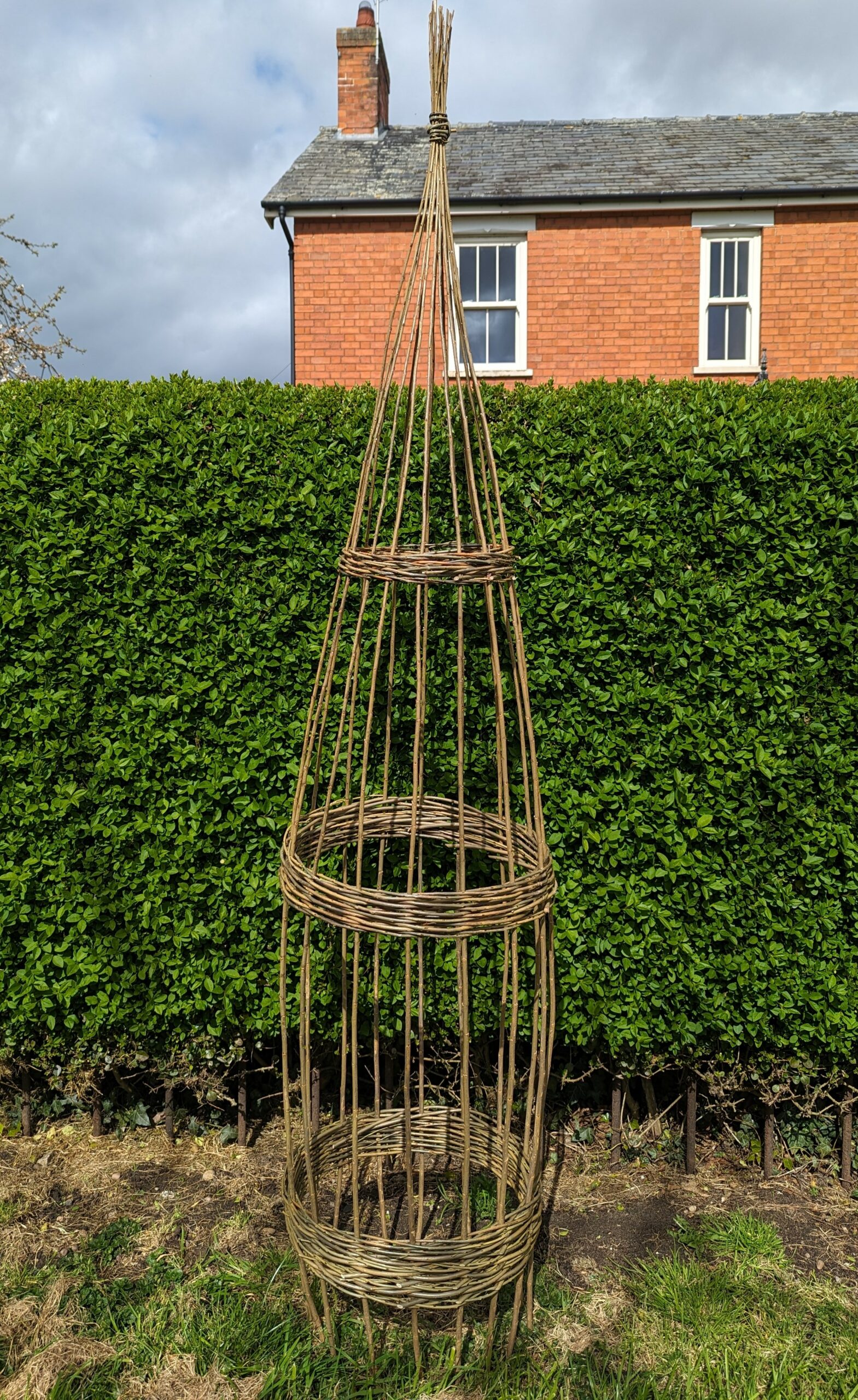 Willow Obelisk Plant Support by Old Farmhouse Flowers