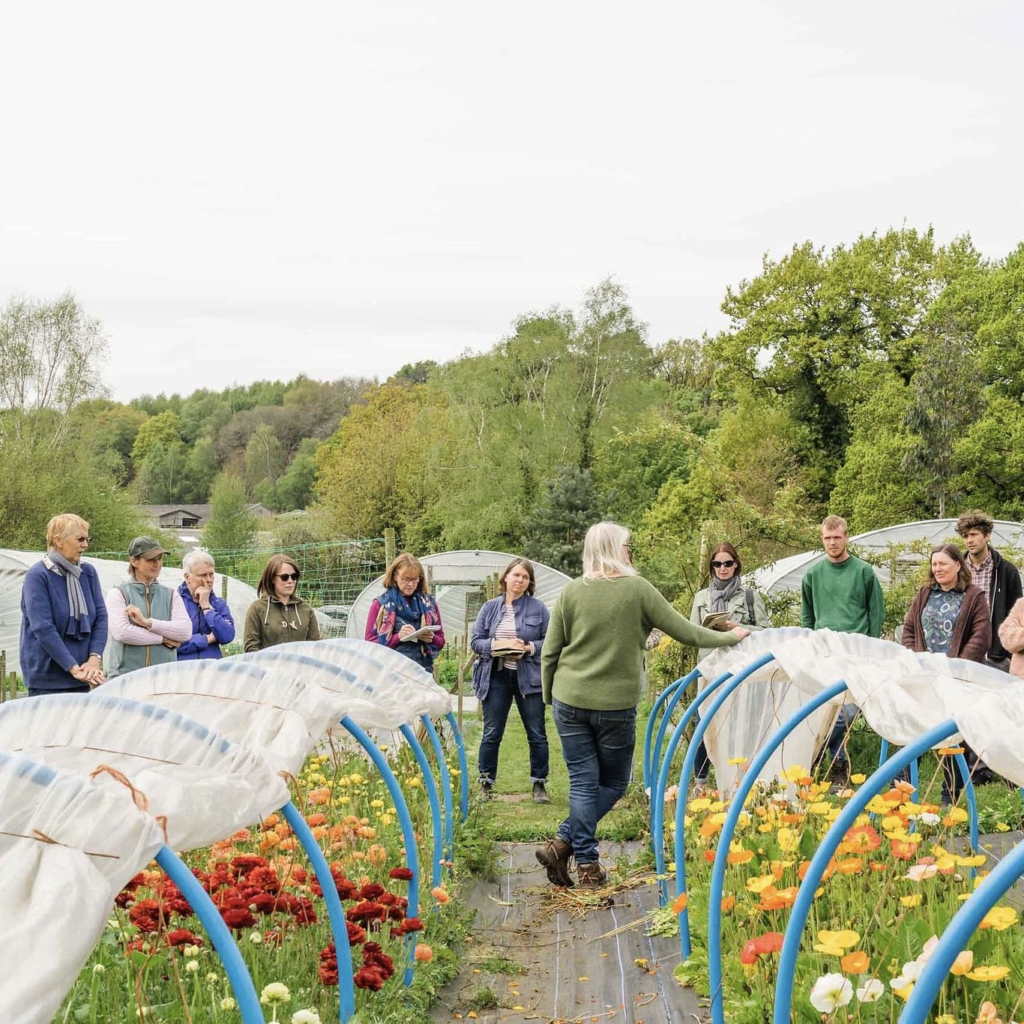 The Flower Farming Masterclass with The Flower Farm