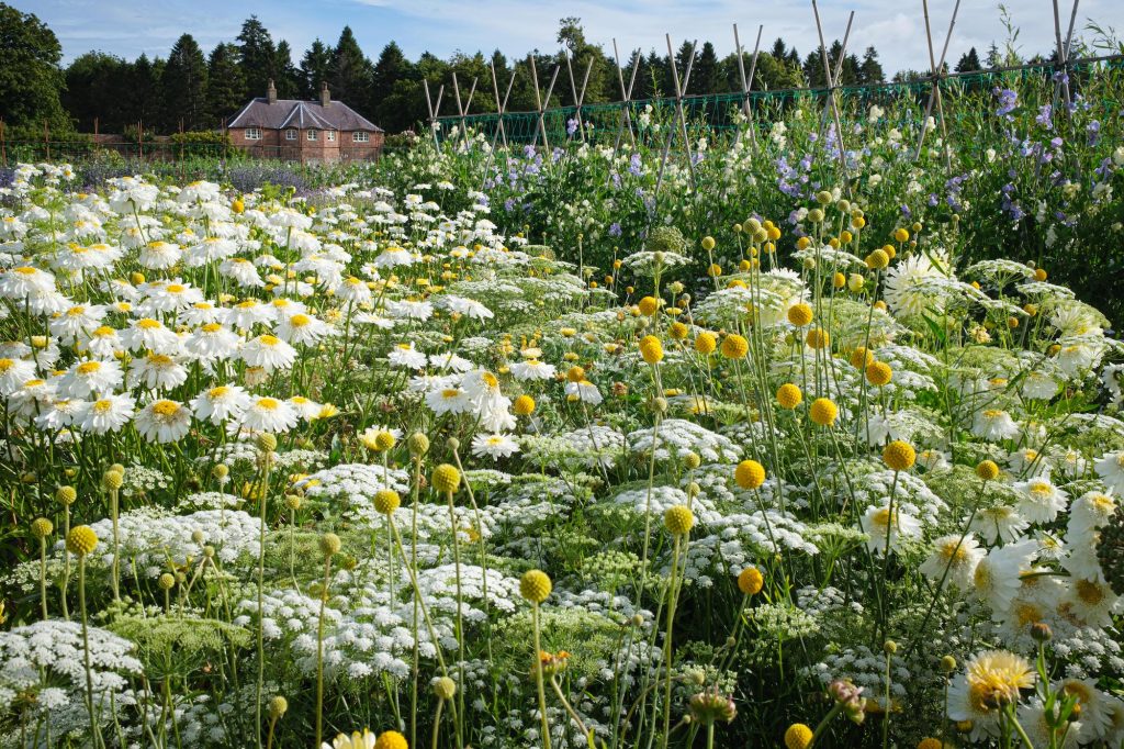 Hand-Tied Bouquet Workshops The Walled Garden Trading Company