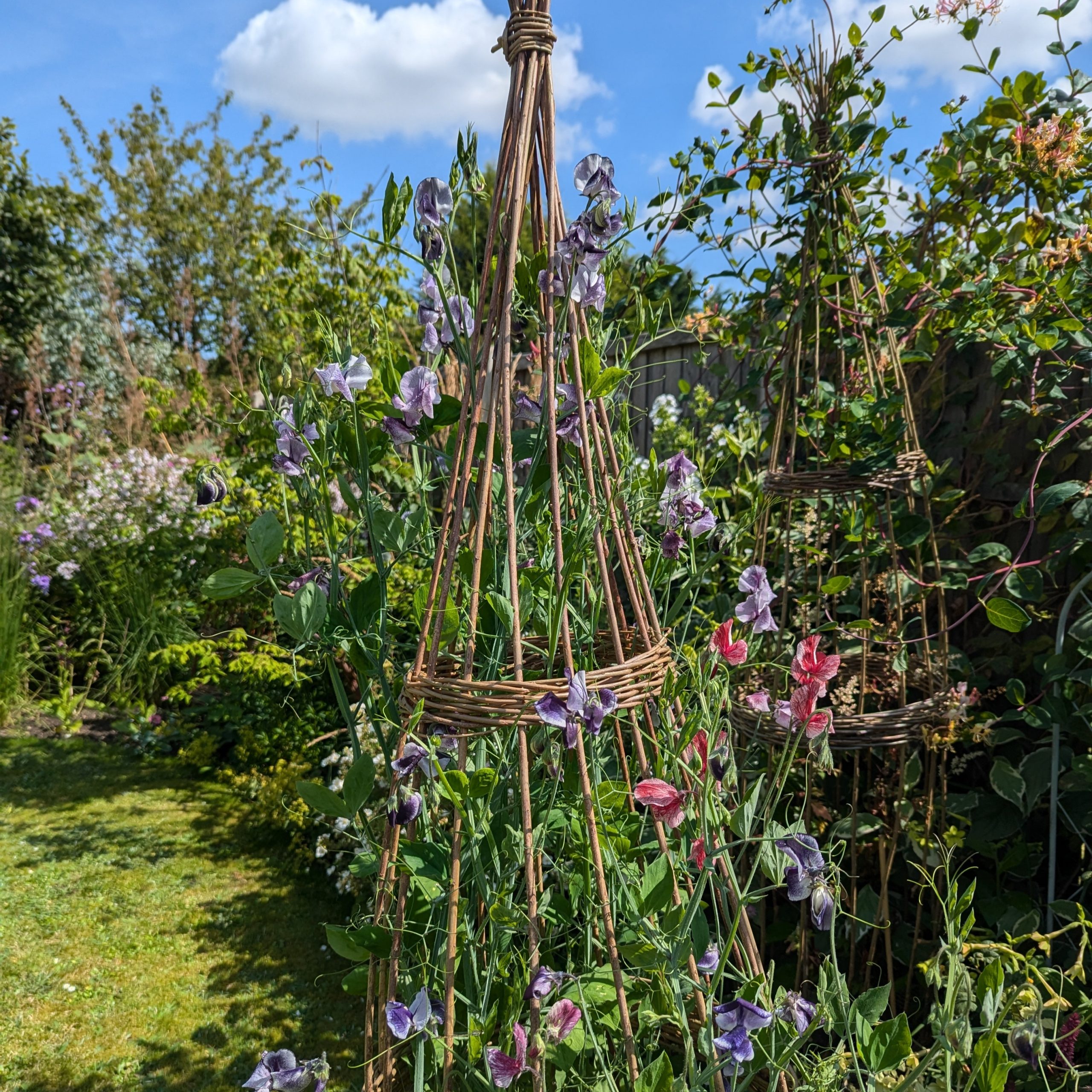 Willow Obelisk Workshop with Old Farmhouse Flowers