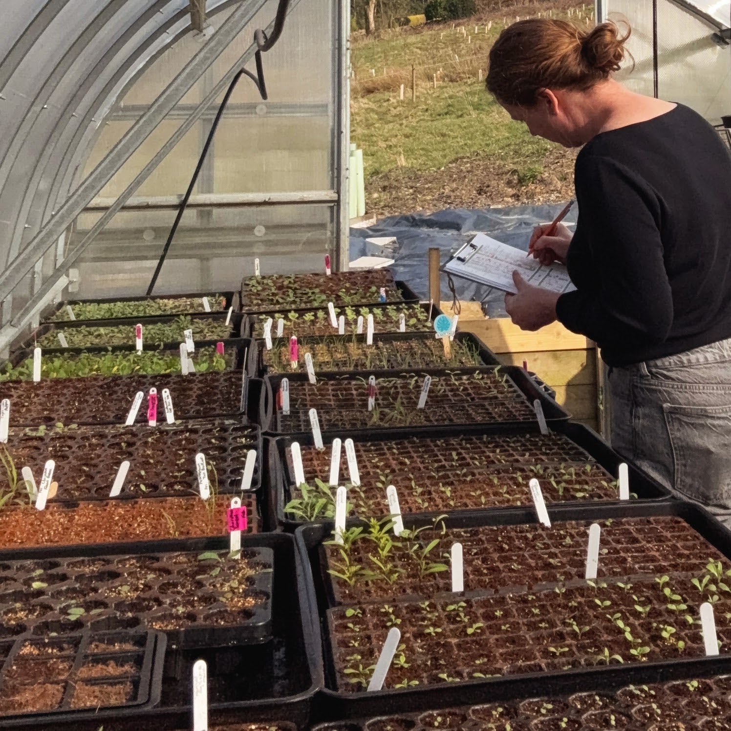 Planning your growing with Sarah Hinchliffe