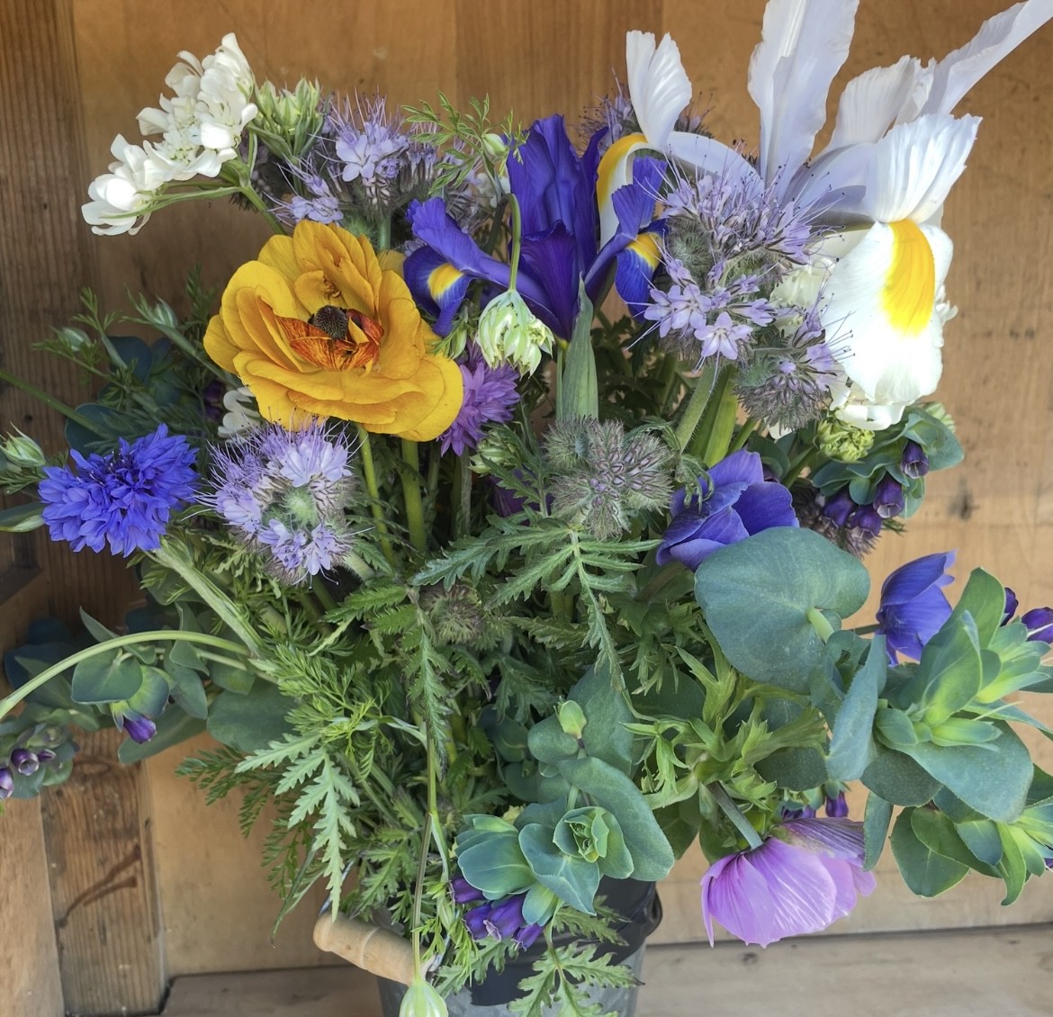 The Flower Bus Club - Weekly Classes - May 2026 with Caroline Howells