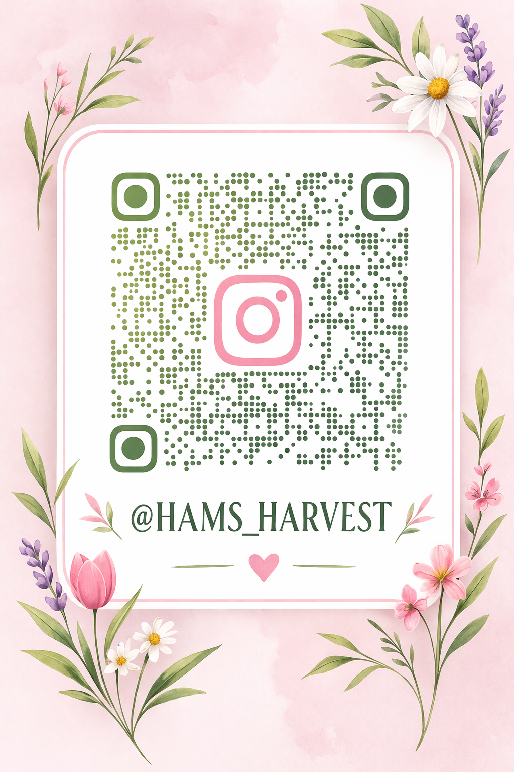 Ham Open Gardens with Julie Reynolds