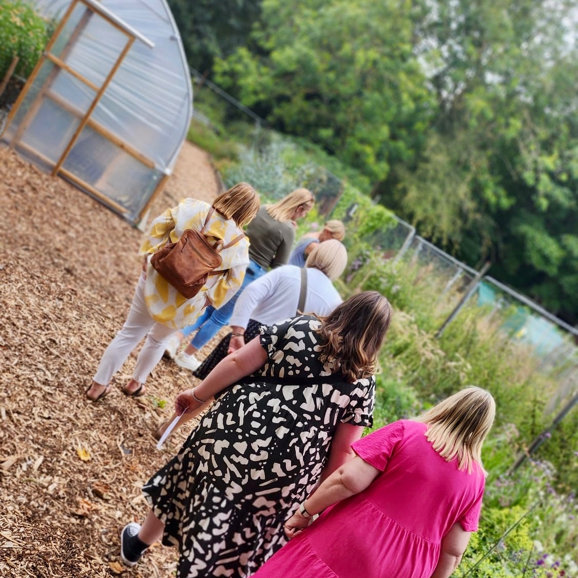 British Flowers Week Plot Tour and afternoon tea with The Cutting Garden