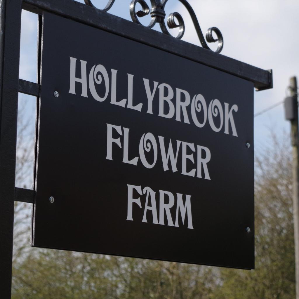 Hollybrook Flower Farm