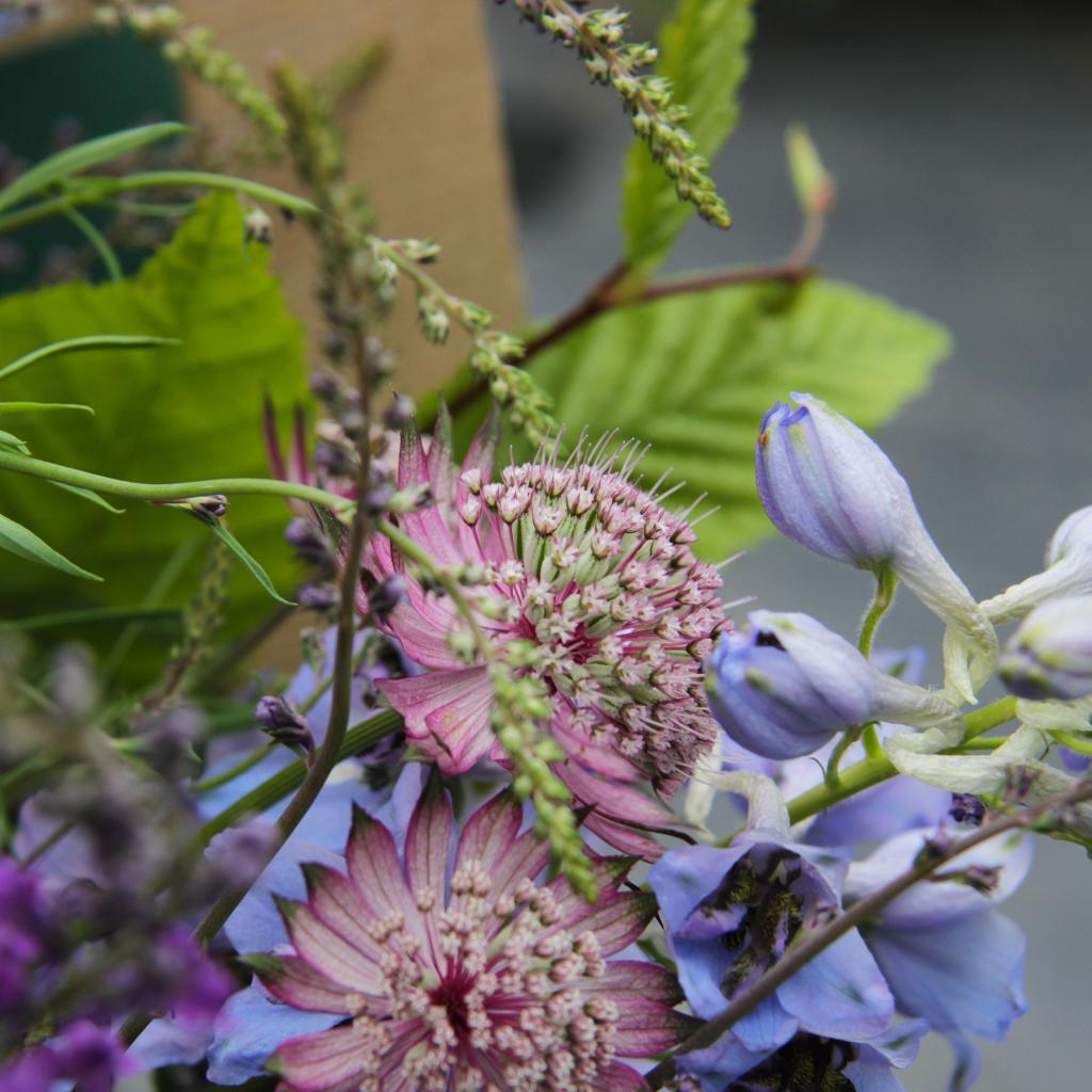 Headley flower garden