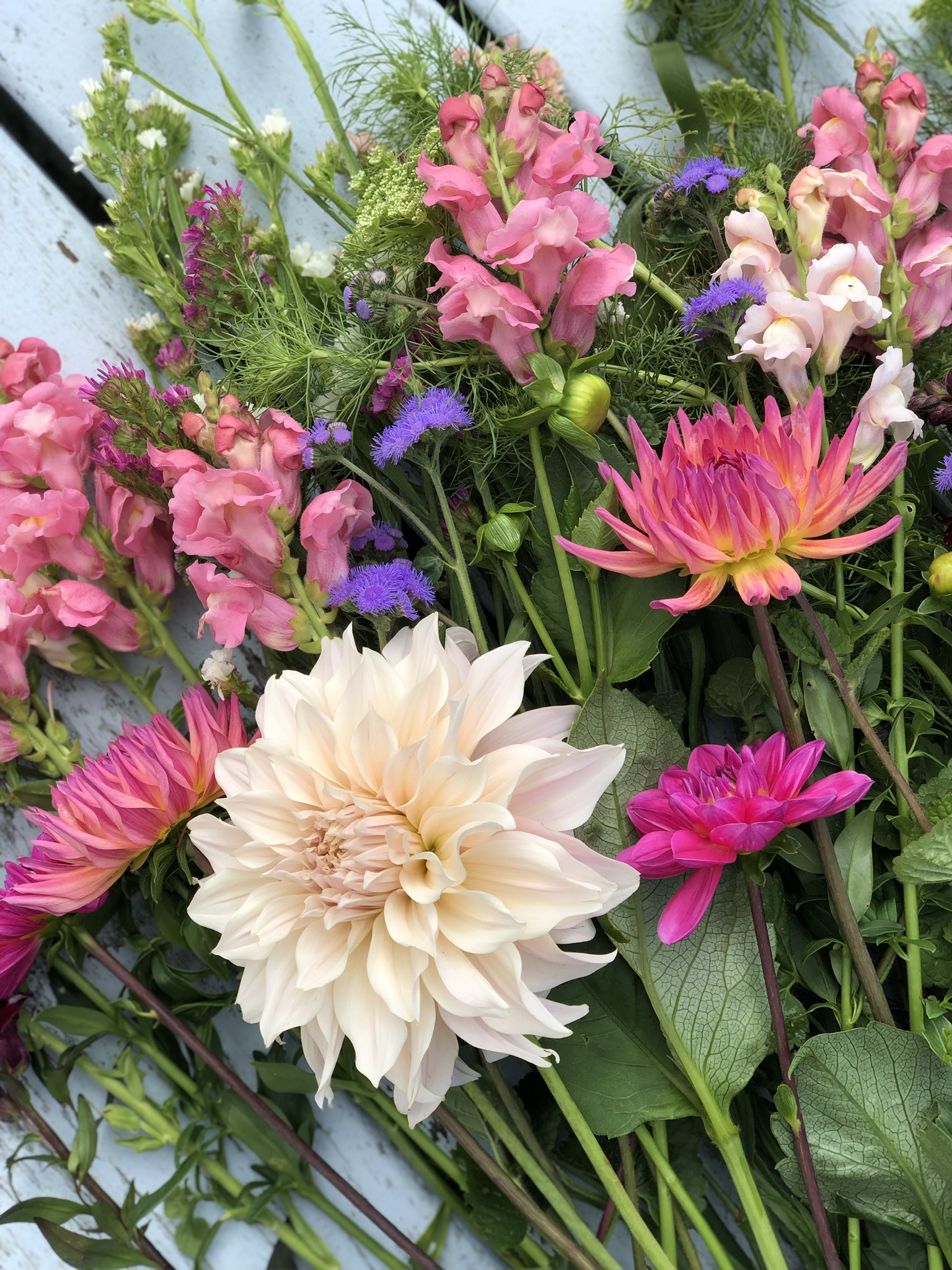 The Cornish Flower Patch Flowers from the Farm