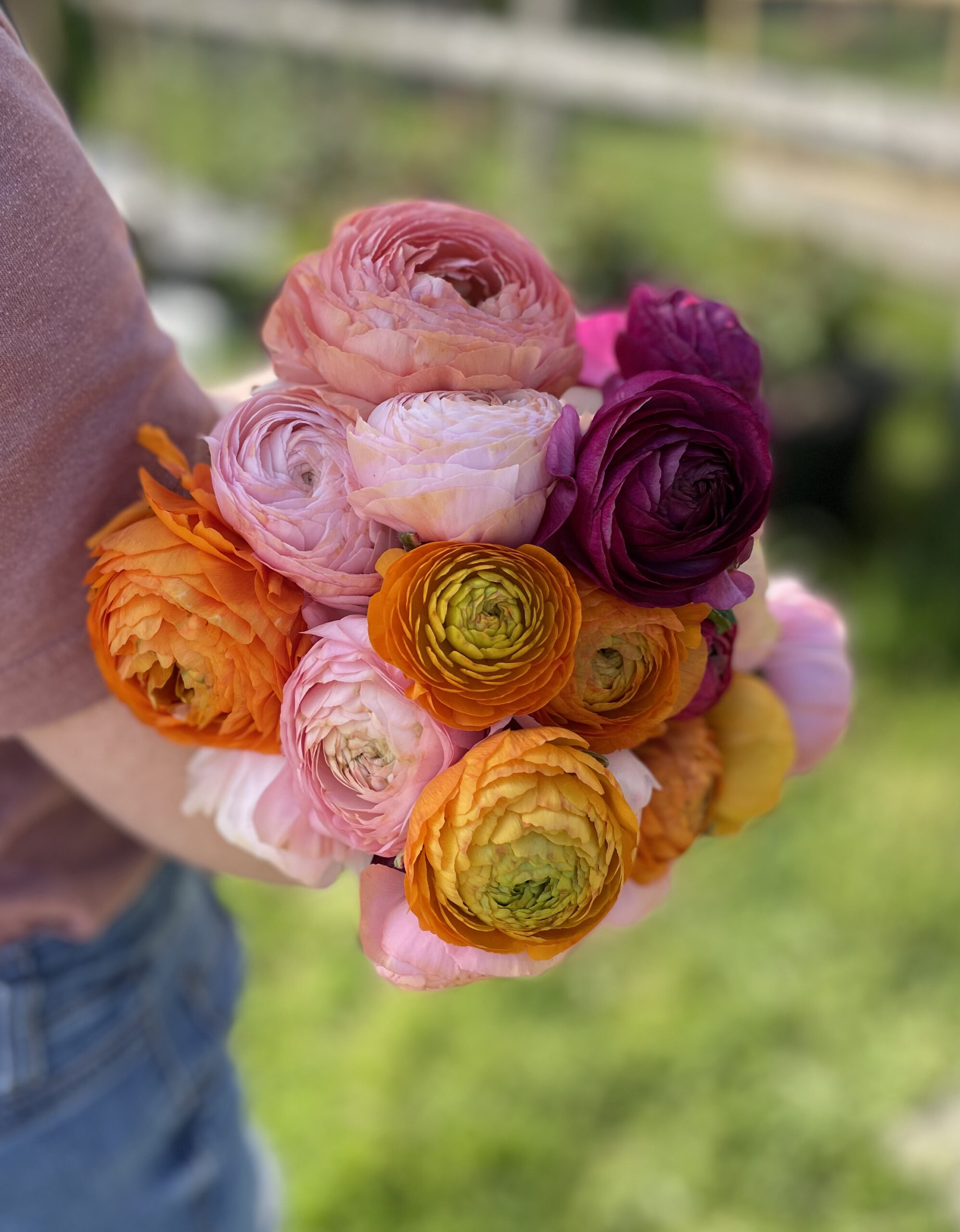 Sweet Grace Flower Farm Flowers from the Farm