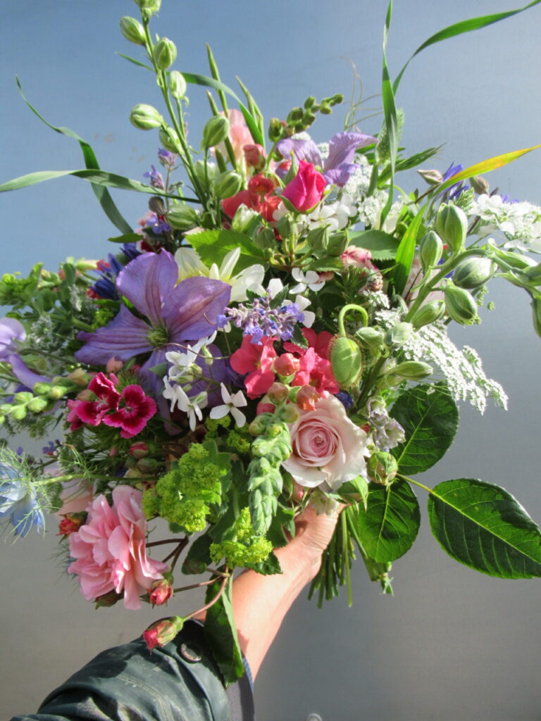 Hendra Farm Flowers Flowers from the Farm