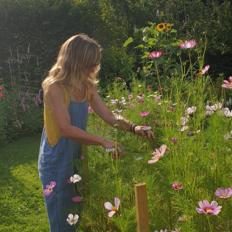 Homestead Flowers Flowers from the Farm