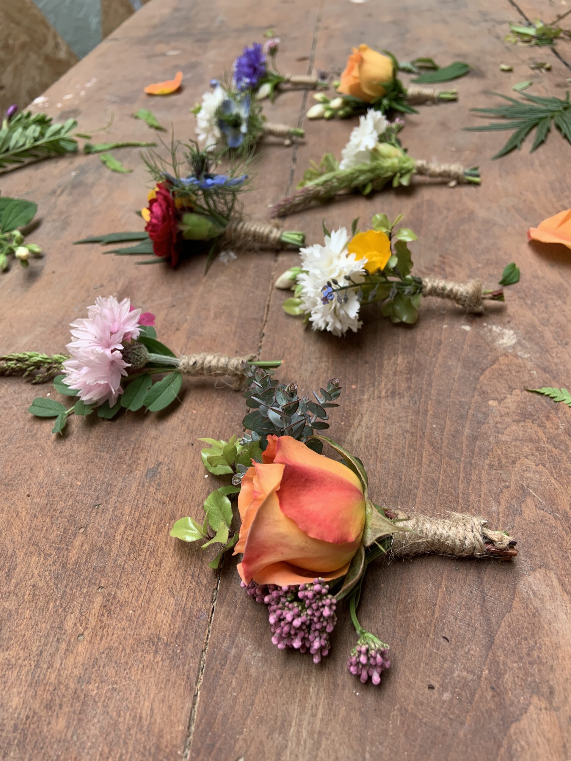 Sorelle Flower Co. Flowers from the Farm