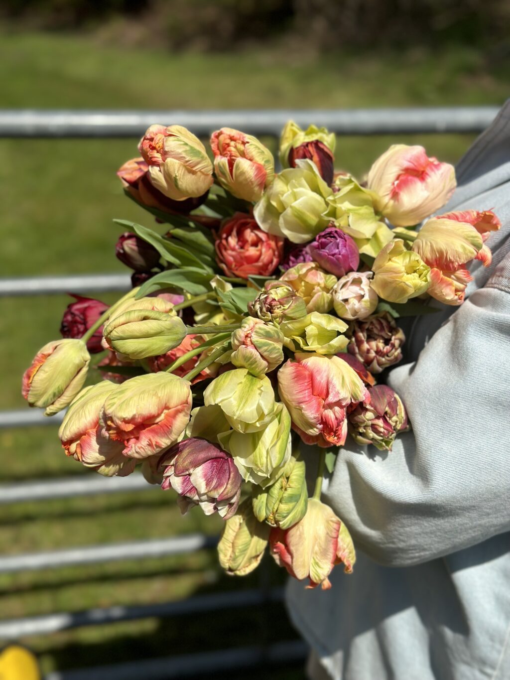 Hook Heath Flower Farm Flowers from the Farm