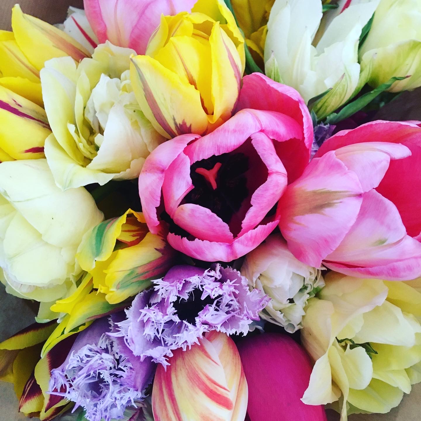  Flowers from the Farm