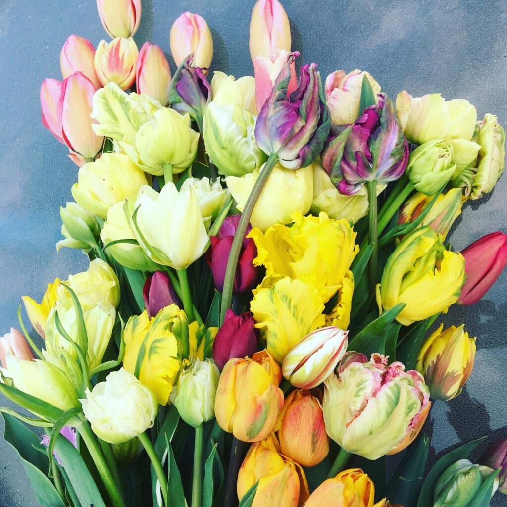  Flowers from the Farm